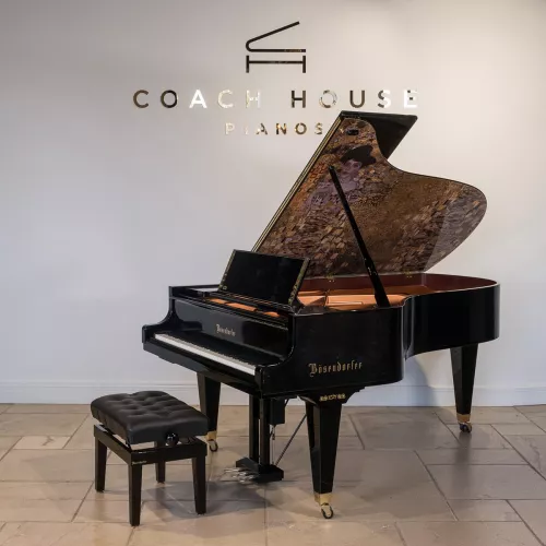 Рояль Bosendorfer 214VC Gustav Klimt