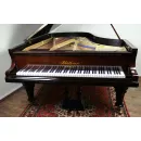 Рояль исторический Bluthner 190 см 1904 г.