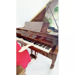 Рояль Fazioli F183 в отделке Californian walnut