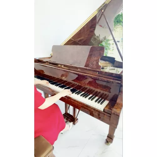 Рояль Fazioli F183 в отделке Californian walnut