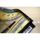 Рояль Bösendorfer Secession 214VC Limited Edition 