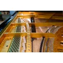 Рояль Bösendorfer Secession 214VC Limited Edition 