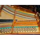 Рояль Bоsendorfer 225 1970 г., реновация