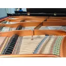 Рояль Bоsendorfer 225 1970 г., реновация