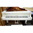 Рояль концертный Bluthner Model 1 280 см