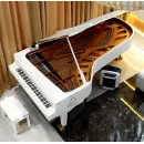 Рояль концертный Bluthner Model 1 280 см