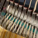 Рояль C. Bechstein Academy A190