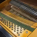 Рояль C. Bechstein Academy A190