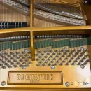 Рояль C. Bechstein Academy A190