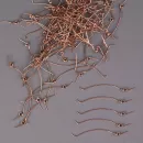 Пружинки № 2, 60 мм, 90 шт