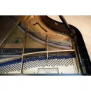 Рояль C. Bechstein Academy A160