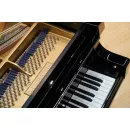 Рояль C. Bechstein Academy A160