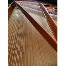 Рояль Bosendorfer 170 см - под заказ