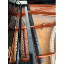 Рояль Bosendorfer 170 см - под заказ