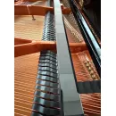 Рояль Bosendorfer 170 см - под заказ
