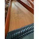Рояль Bosendorfer 170 см - под заказ