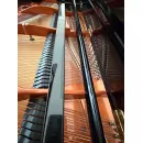 Рояль Bosendorfer 170 см - под заказ