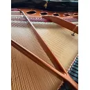 Рояль Bosendorfer 170 см - под заказ
