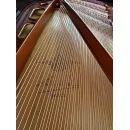 Рояль Bosendorfer 170 см - под заказ