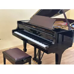 Рояль Steinway & Sons O-180 Spirio 165th Anniversary Edition, Hamburg - под заказ