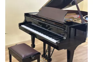 Рояль Steinway & Sons O-180 Spirio 165th Anniversary Edition, Hamburg - под заказ