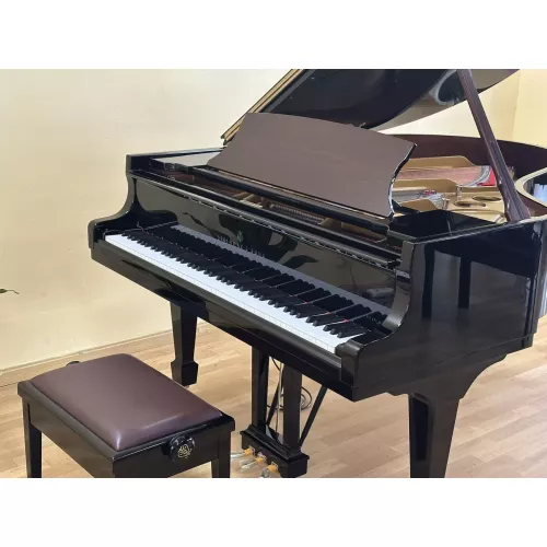 Рояль Steinway & Sons O-180 Spirio 165th Anniversary Edition, Hamburg - под заказ