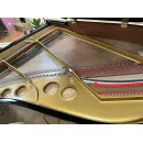 Рояль Steinway & Sons O-180 Spirio, Hamburg, 2020 - под заказ