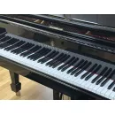 Рояль Steinway & Sons O-180 Spirio, Hamburg, 2020 - под заказ