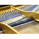 Рояль Bosendorfer 200