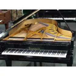 Рояль Bosendorfer 200
