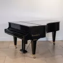 Рояль Bosendorfer 214VC Gustav Klimt