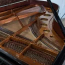 Рояль Bosendorfer 214VC Gustav Klimt