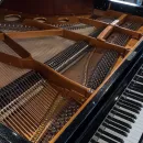Рояль Bosendorfer 214VC Gustav Klimt
