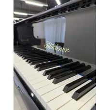 Рояль Bluthner 210 model 4
