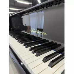 Рояль Bluthner 210 model 4