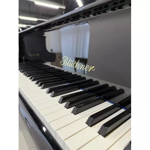 Рояль Bluthner 210 model 4