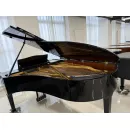 Рояль Bluthner 210 model 4