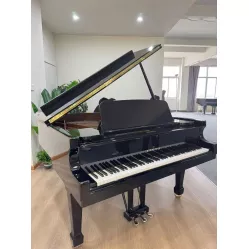 Рояль Bechstein MOD160