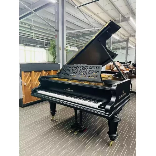 Рояль Bechstein исторический антикварный 1900е