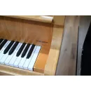 Рояль Bechstein Model L