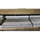 Рояль Bechstein Model L
