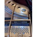 Рояль Kawai GX-1