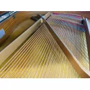 Рояль Yamaha A1s