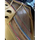 Рояль Yamaha G5