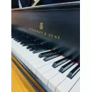 Рояль Steinway & Sons M170