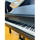 Рояль Steinway & Sons M170