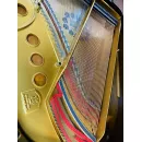 Рояль Steinway & Sons M170 Louis XV