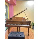 Рояль Steinway M170