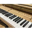 Рояль Steinway M170