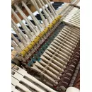 Рояль Steinway M170